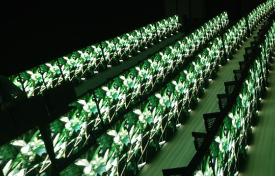 High Brightness P4 SMD2121 Rental LED Video Wall Quick Installation